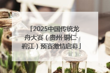 2025中国传统龙舟大赛（贵州·铜仁·碧江）预赛激情启幕