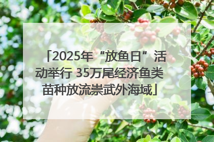 2025年“放鱼日”活动举行 35万尾经济鱼类苗种放流崇武外海域
