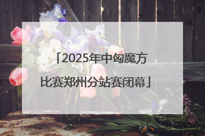 2025年中匈魔方比赛郑州分站赛闭幕