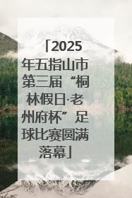 2025年五指山市第三届“桐林假日·老州府杯”足球比赛圆满落幕