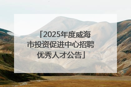 2025年度威海市投资促进中心招聘优秀人才公告