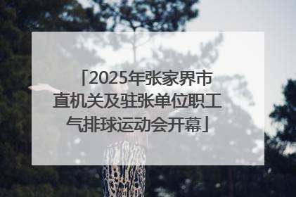 2025年张家界市直机关及驻张单位职工气排球运动会开幕