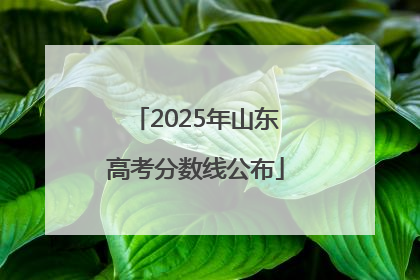 2025年山东高考分数线公布