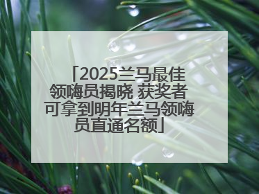 2025兰马最佳领嗨员揭晓 获奖者可拿到明年兰马领嗨员直通名额