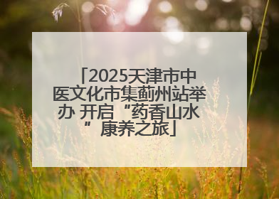 2025天津市中医文化市集蓟州站举办 开启“药香山水”康养之旅