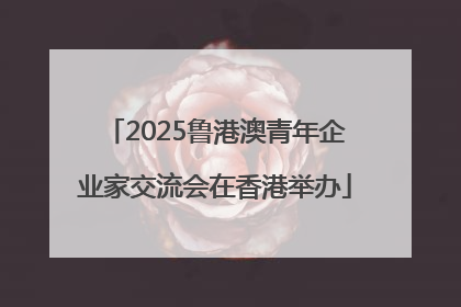 2025鲁港澳青年企业家交流会在香港举办