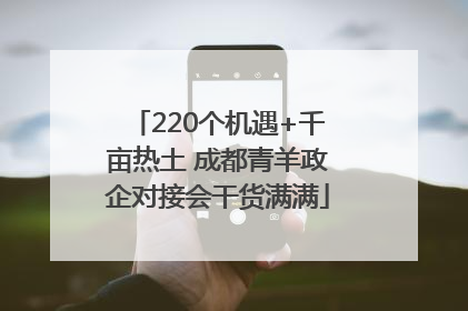 220个机遇+千亩热土 成都青羊政企对接会干货满满
