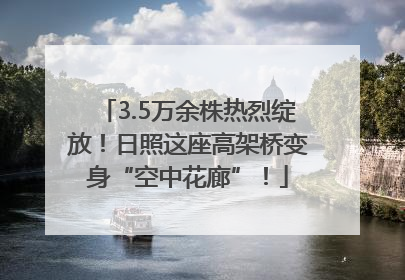 3.5万余株热烈绽放！日照这座高架桥变身“空中花廊”！