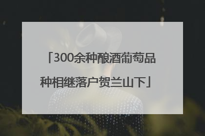 300余种酿酒葡萄品种相继落户贺兰山下
