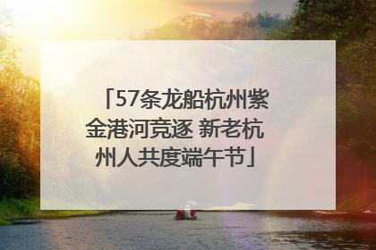 57条龙船杭州紫金港河竞逐 新老杭州人共度端午节