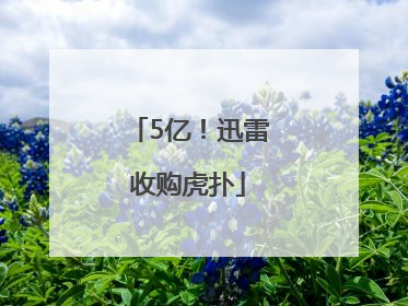 5亿！迅雷收购虎扑