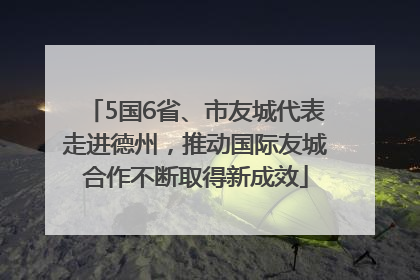 5国6省、市友城代表走进德州，推动国际友城合作不断取得新成效
