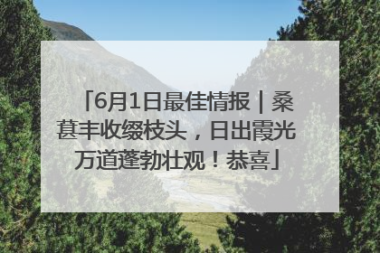 6月1日最佳情报｜桑葚丰收缀枝头，日出霞光万道蓬勃壮观！恭喜