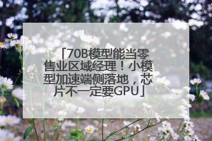 70B模型能当零售业区域经理！小模型加速端侧落地，芯片不一定要GPU