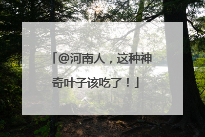 @河南人，这种神奇叶子该吃了！