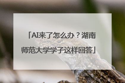 AI来了怎么办？湖南师范大学学子这样回答