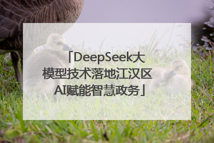 DeepSeek大模型技术落地江汉区 AI赋能智慧政务
