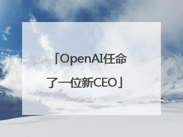 OpenAI任命了一位新CEO