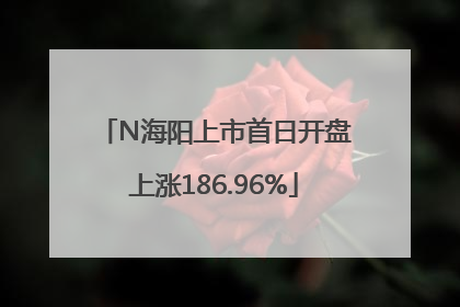 N海阳上市首日开盘上涨186.96%