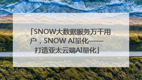 SNOW大数据服务万千用户，SNOW AI量化——打造亚太云端AI量化
