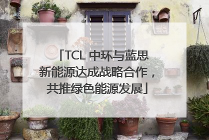 TCL 中环与蓝思新能源达成战略合作，共推绿色能源发展
